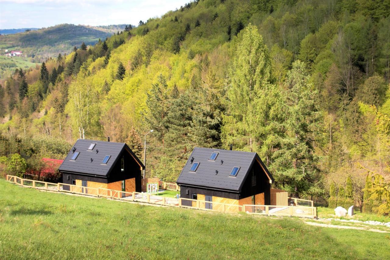 Projekt Swit - Domki Z Prywatna Jacuzzi I Sauna Zywiec Bagian luar foto