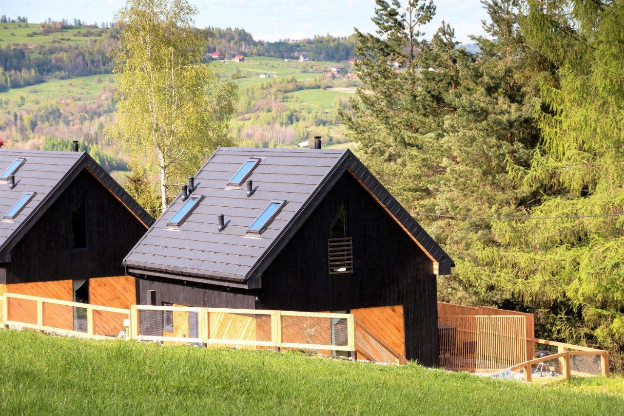 Projekt Swit - Domki Z Prywatna Jacuzzi I Sauna Zywiec Bagian luar foto